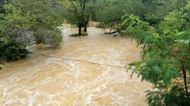 Ratusan Hektare Kebun Karet Terendam Banjir, Usaha Masyarakat Terhenti