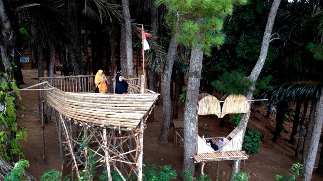 Warga mwnikmati hamparan pohon pinus di obyek wisata Puncak Dulamayo, Kabupaten Gorontalo, Gorontalo, Minggu (31/3). ANTARA FOTO/Adiwinata Solihin