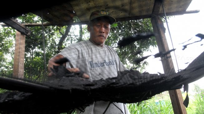 Pekerja melakukan proses pembuatan arang batok di kawasan Krukut, Depok, Jawa Barat, Rabu (3/4). [Suara.com/Arief Hermawan P]