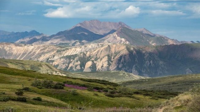 Taman Nasional Denali di Amerika Utara. (Pixabay/12019)