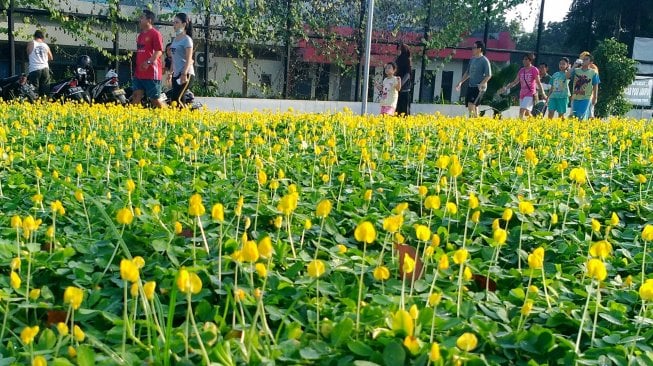 Suasana aktifitas di Lapangan Banteng, Jakarta, Rabu (4/3). [Suara.com/Oke Atmaja]