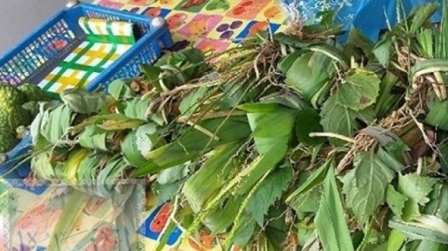 Tradisi pangir atau mandi daun wewangian di Sumatera Utara. (Instagram/@medanmetropolis)