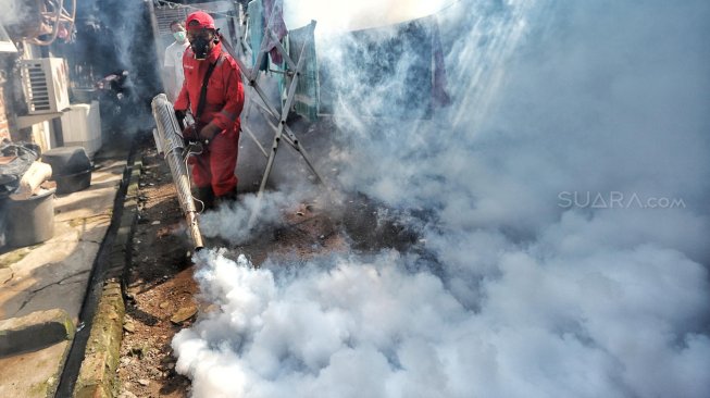 Tercatat 30 Kasus DBD di Kota Pasuruan Sepanjang Januari hingga Maret