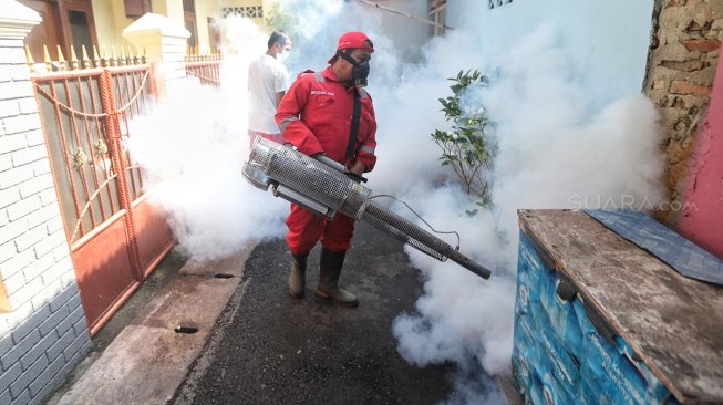 Warga Tak Boleh Biarkan Rumahnya Jadi Sarang Nyamuk Aedes Aegypti, Bisa Didenda Satpol PP!