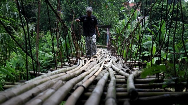 Warga melintasi jembatan gantung yang terbuat dari bambu di Depok, Jawa Barat, Senin (4/8).[Suara.com/Arief Hermawan P]