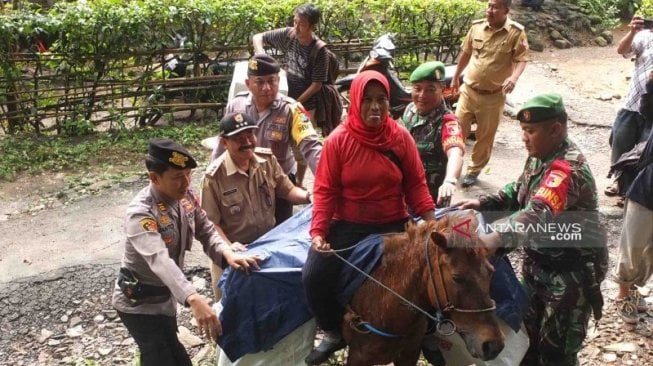 Distribusikan Logistik Pemilu ke Wilayah Ini, Petugas Gunakan Kuda