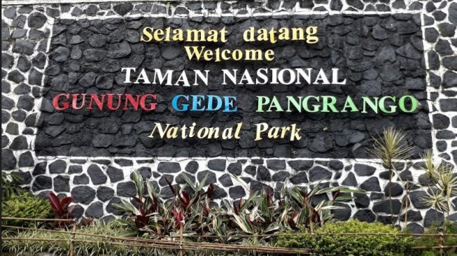 Nekat Naik Gunung Gede Saat Pandemi, Lima Pendaki Terciduk Petugas TNGGP