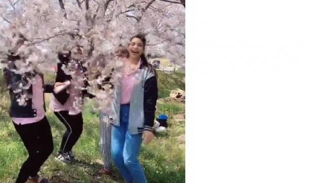 Bikin bunga sakura rontok, aksi turis ini dikecam warga Jepang. (TikTok)