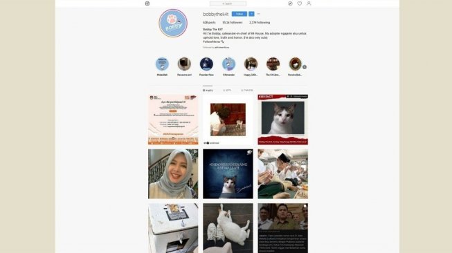 Akun Instagram Bobbythek4t milik Bobby, kucing kesayangan Prabowo Subianto. [Instagram/captured]