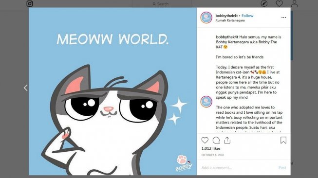 Bobby, Kucing Prabowo dengan Akun Instagram yang Suka Bicara Politik