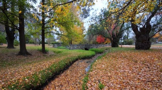 Orange, New South Wales. (Shutterstock)