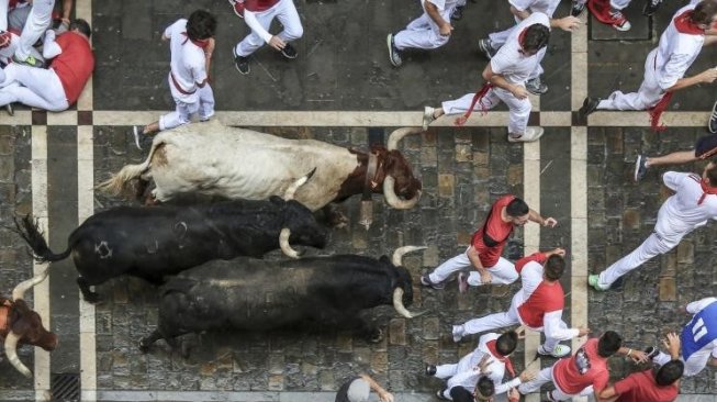 Ikuti Festival Toro Embolado, Seorang Lelaki Tewas Ditanduk Banteng