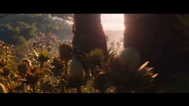 Kenalan dengan Kiwano, Buah yang Dipanen Thanos di Avengers: Endgame