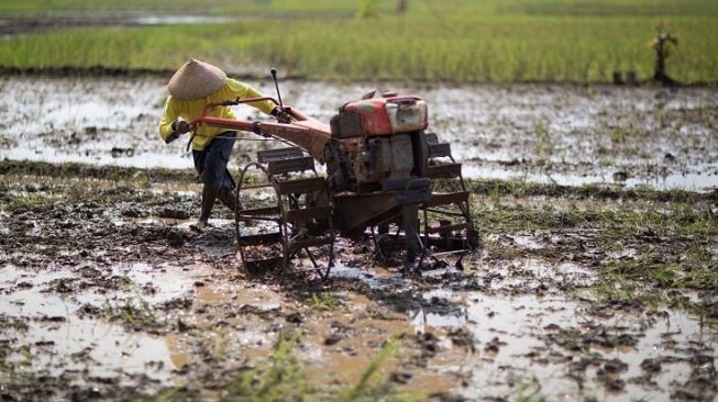 Tingkatkan Hasil Tani, Kementan Minta Kabupaten Landak Lakukan Pemetaan