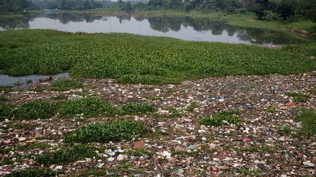 Situ Pengarengan yang dipenuhi sampah plastik dan gulma eceng gondok di Depok, Jawa Barat, Selasa (7/5). [Suara.com/Arief Hermawan P]