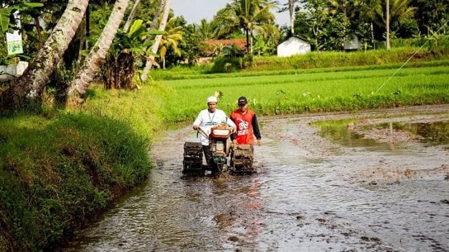 Jika Tak Alihfungsikan Lahan, Kementan akan Berikan Insentif pada Petani