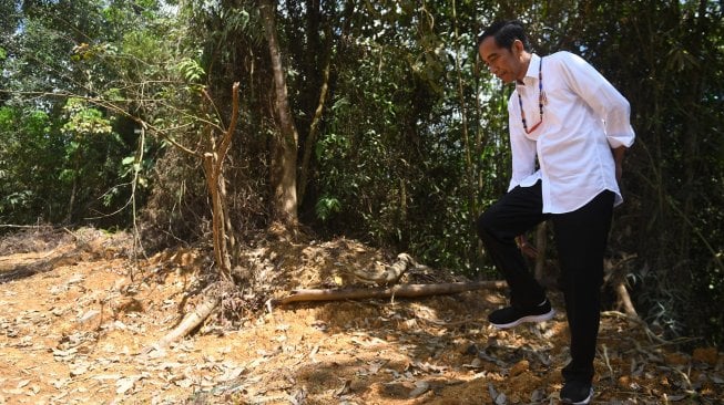 Presiden Joko Widodo berjalan di kawasan hutan saat meninjau salah satu lokasi calon ibu kota negara di Gunung Mas, Kalimantan Tengah, Rabu (8/5). ANTARA FOTO/Akbar Nugroho Gumay/foc.