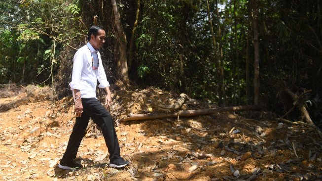 Presiden Joko Widodo berjalan di kawasan hutan saat meninjau salah satu lokasi calon ibu kota negara di Gunung Mas, Kalimantan Tengah, Rabu (8/5). ANTARA FOTO/Akbar Nugroho Gumay/foc.