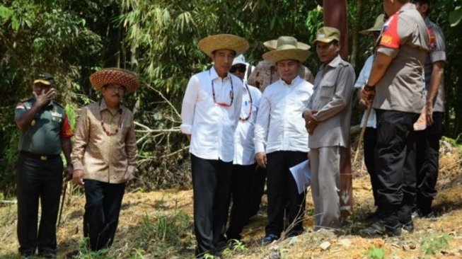 Tinjau Calon Lokasi Ibu Kota Baru di Gunung Mas, Jokowi: Dapat Feeling