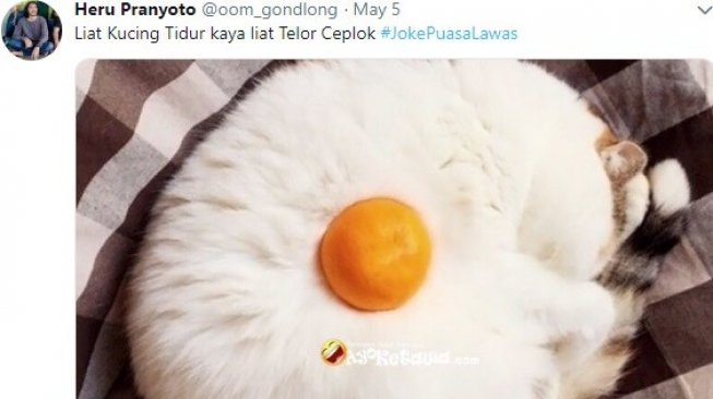 Kucing tidur dengan buah jeruh di perutnya jadi mirip telur mata sapi. (Twitter/@Heru Pranyoto)