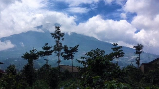 Pemandangan sekitar Gunung Sumbing dan Sindoro dari Posong [Suara.com/Nicholas Ingram].