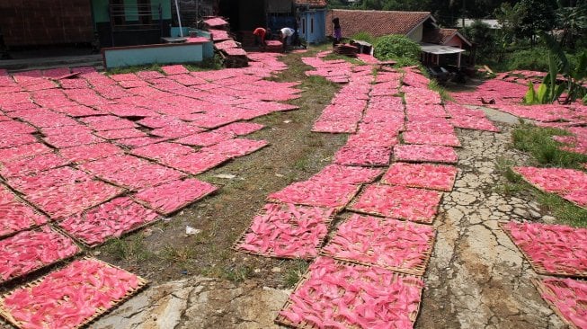 Pekerja menjemur kerupuk merah dan kerupuk mie mentah di kawasan Pasir Jambu, Karadenan, Kabupaten Bogor, Jawa Barat, Senin (13/5). [Suara.com/Arief Hermawan P]