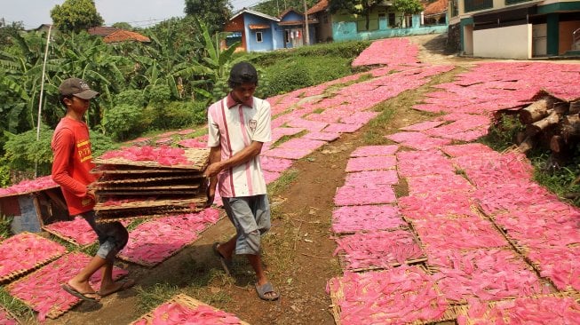 Pekerja menjemur kerupuk merah dan kerupuk mie mentah di kawasan Pasir Jambu, Karadenan, Kabupaten Bogor, Jawa Barat, Senin (13/5). [Suara.com/Arief Hermawan P]