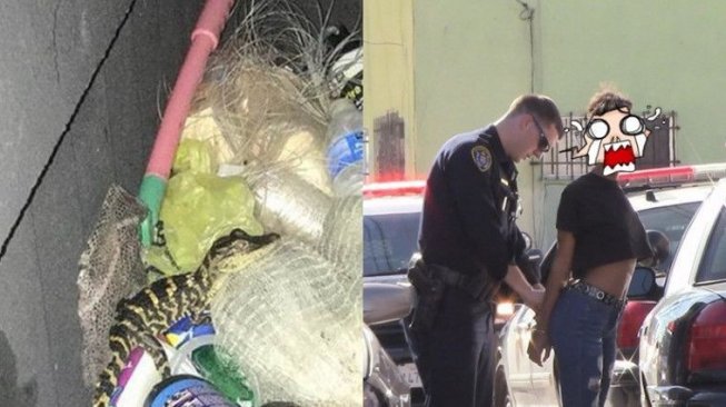 Menggeledah Seorang Wanita, Polisi Ini Kaget Menemukan Seekor Buaya 