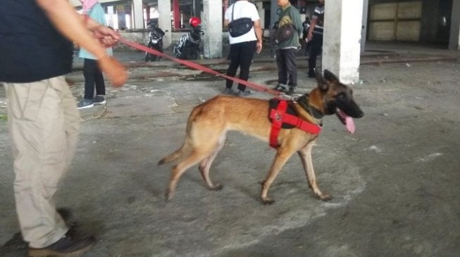 Dibantu Anjing Pelacak, Polisi Ringkus Residivis Pencuri Rumah Kosong