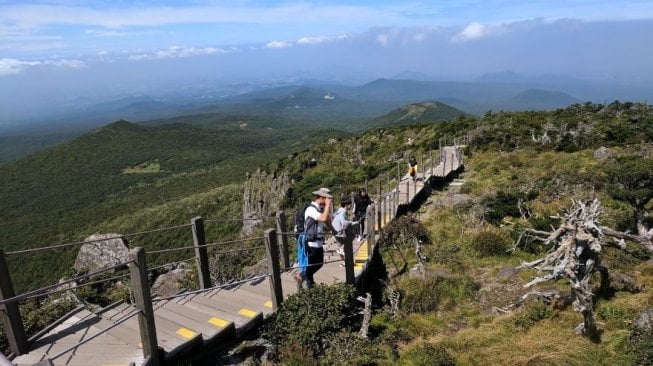 Hallasan National Park (Google Maps)