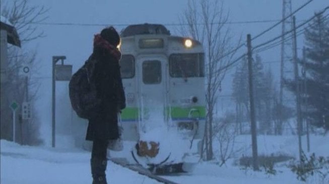 Jalur Kereta Jepang Ini Setia Beroperasi Walau Hanya Antarkan Seorang Gadis