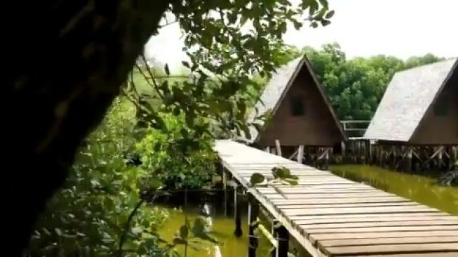 Twitwar Admin Pemprov DKI dan Pengelola Taman Mangrove, Video Ini Jadi Soal