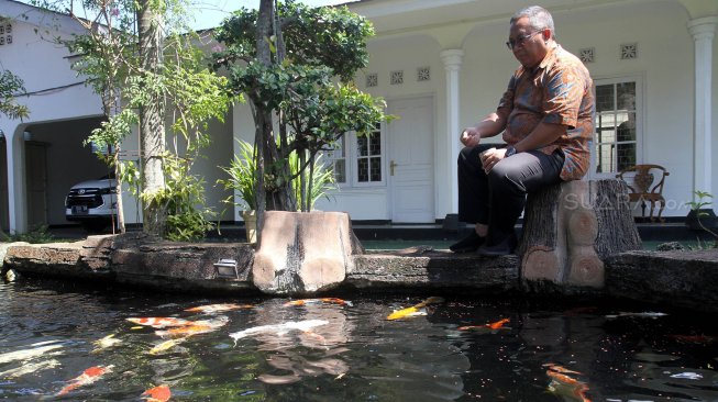 Bupati Sukabumi Marwan Hamami memberi pakan Ikan Koi di Rumah Dinas Bupati, Sukabumi, Jawa Barat, Jumat (24/5). [Suara.com/Arief Hermawan P]