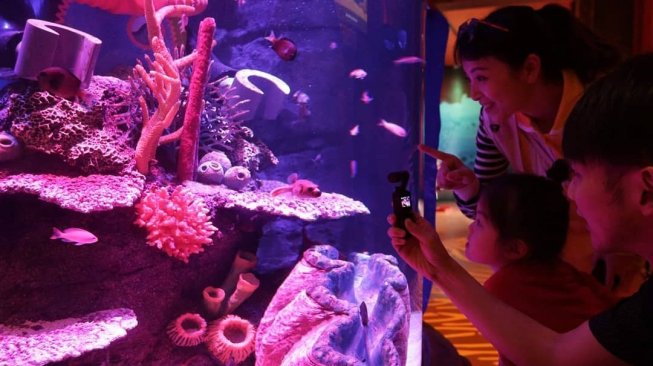 Berencana Libur Lebaran ke Malaysia, Destinasi SEA Life Bisa Jadi Pilihan