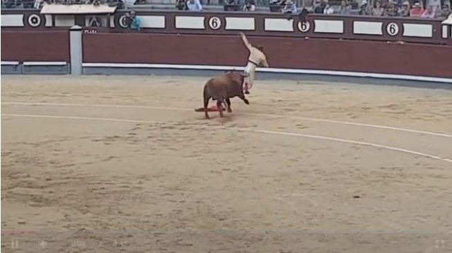 Matador diseruduk banteng (ladbible.com/France 3 Occitanie)