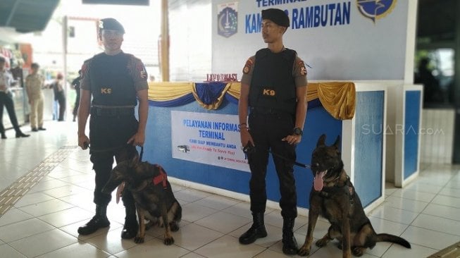 Buru Narkoba dan Pelaku Kriminal, Terminal Rambutan Dijaga Anjing Pelacak