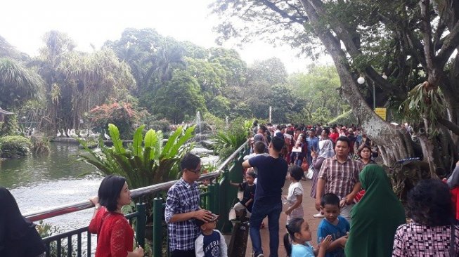 Pengunjung Taman Margasatwa Ragunan di Lebaran kedua, Kamis (6/6/2019). (Suara.com/Novian Ardiansyah)