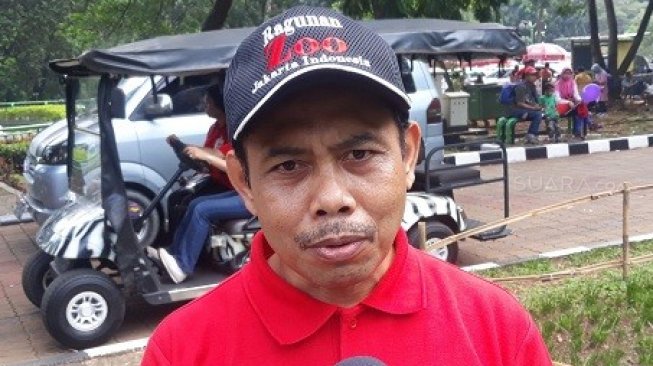 Kepala satuan pelaksana promosi Kebun Binatang Ragunan Ketut Widarsono saat ditemui wartawan, Kamis (6/6/2019). (Suara.com/Novian Ardiansyah)