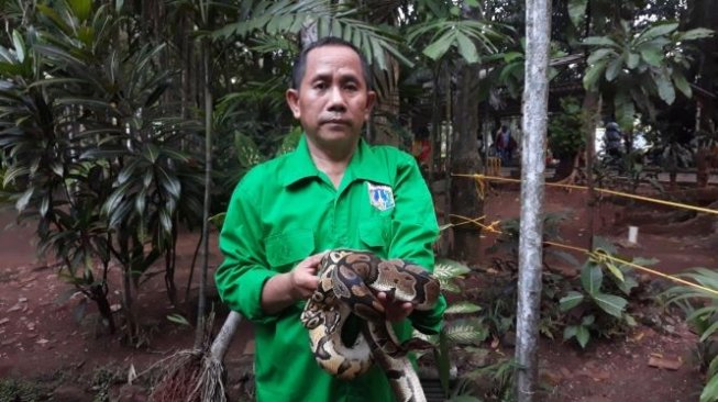 Cerita Kusno Rela Lebaran dengan Satwa di Taman Margasatwa Ragunan