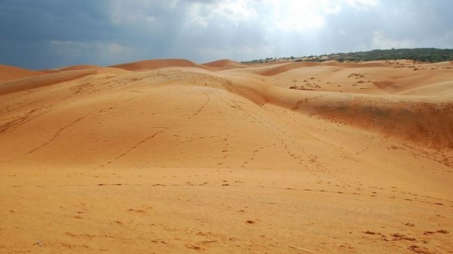 Red Sand Dune (Wikimedia Commons Jet Sun)
