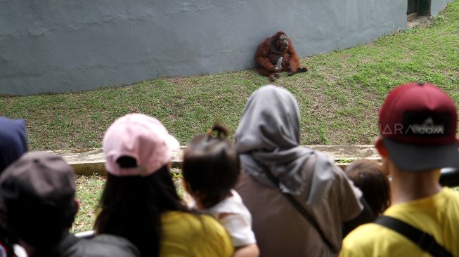 Pengunjung memadati area wisata Taman Margasatwa Ragunan, Jakarta Selatan, Kamis (6/6). [Suara.com/Arief Hermawan P]