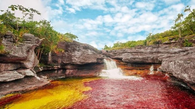 Potret Aneka Warna Cano Cristales, Serpihan Surga di Pegunungan Kolombia