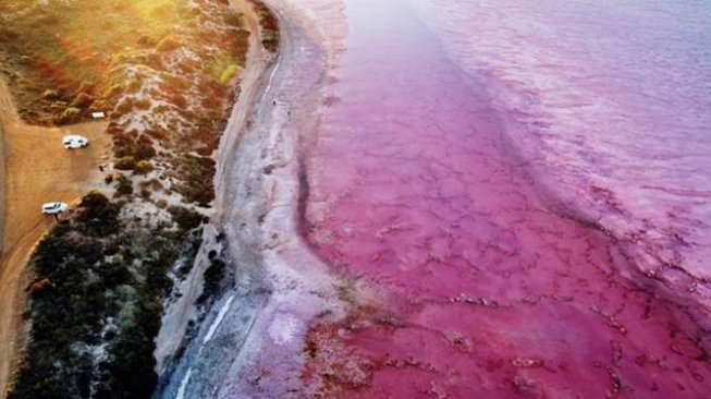 Pasir putih yang membentang antara Perth dan Ningaloo. (Dok Tourism Australia)