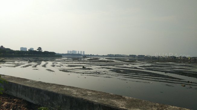 Kondisi Waduk Pluit di Penjaringan, Jakarta Utara. (Suara.com/Tyo)