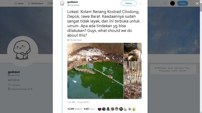 Kondisi mini zoo di markas Kostrad Cilodong pada Minggu (9/6/2019) - (Twitter/@halocilukba)