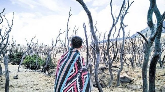 Menelisik Hutan Mati di Jawa Barat, Saksi Bisu Letusan Gunung Papandayan