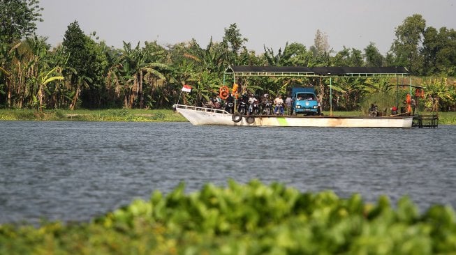 Sejumlah warga menyeberangi Sungai Brantas menggunakan jasa perahu tambang di kawasan Megaluh, Kabupaten Jombang, Jawa Timur, Minggu (16/6). [Suara.com/Arief Hermawan P]