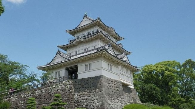 Potret Eloknya Sakura Bermekaran Di Kastil Odawara Jepang 3519