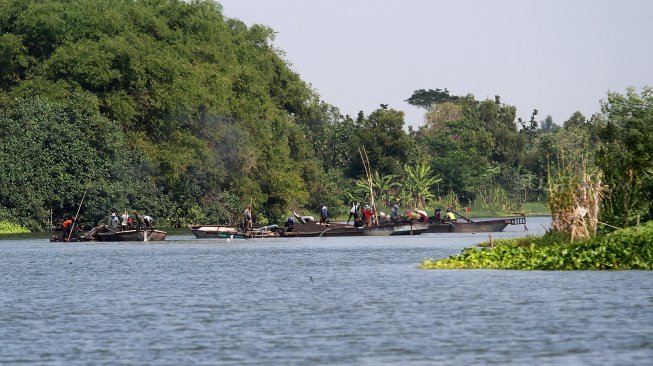 Sejumlah warga berada di atas perahu saat menambang pasir di Sungai Brantas, Kecamatan Megaluh, Kabupaten Jombang, Jawa Timur, Minggu (16/6). [Suara.com/Arief Hermawan P]