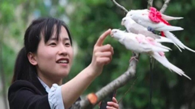 Bikin Popok Burung, Raup Laba Rp62 Juta Per Bulan. Mau Coba?